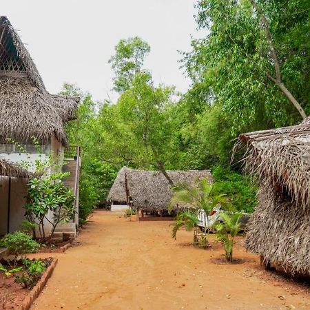 Nebula Nest Cafe & Hostel Auroville Esterno foto