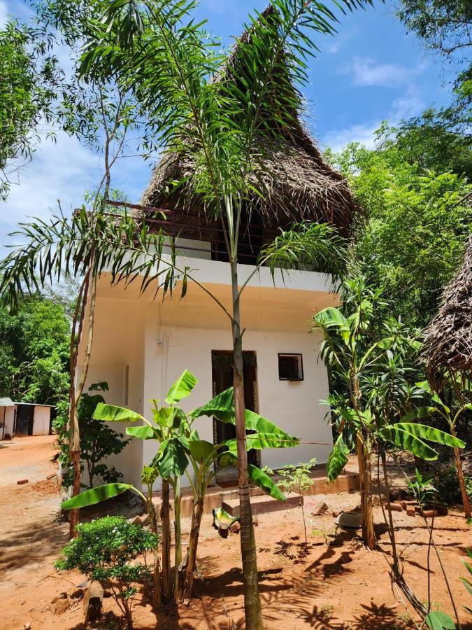 Nebula Nest Cafe & Hostel Auroville Esterno foto