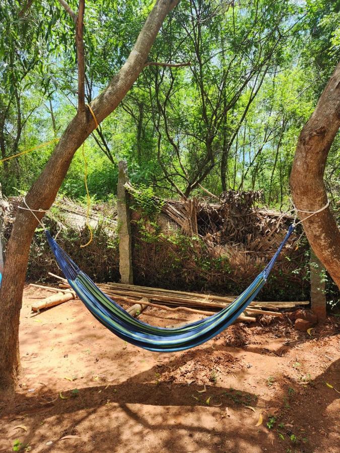 Nebula Nest Cafe & Hostel Auroville Esterno foto