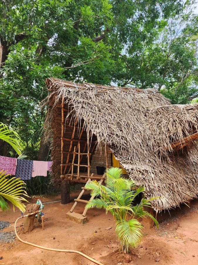 Nebula Nest Cafe & Hostel Auroville Esterno foto