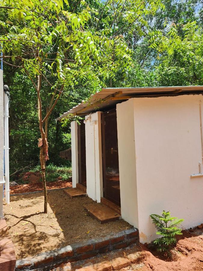 Nebula Nest Cafe & Hostel Auroville Esterno foto