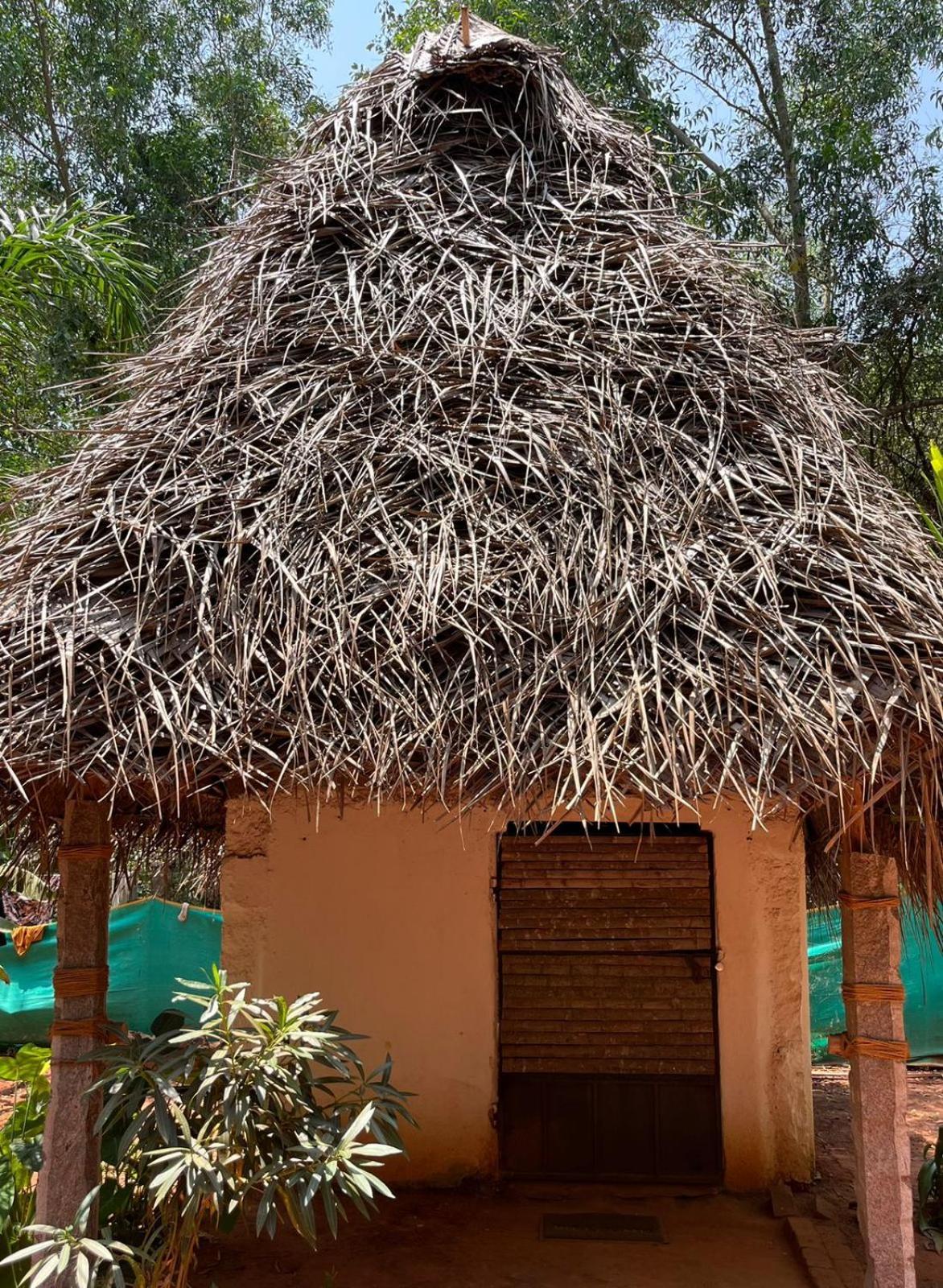 Nebula Nest Cafe & Hostel Auroville Esterno foto