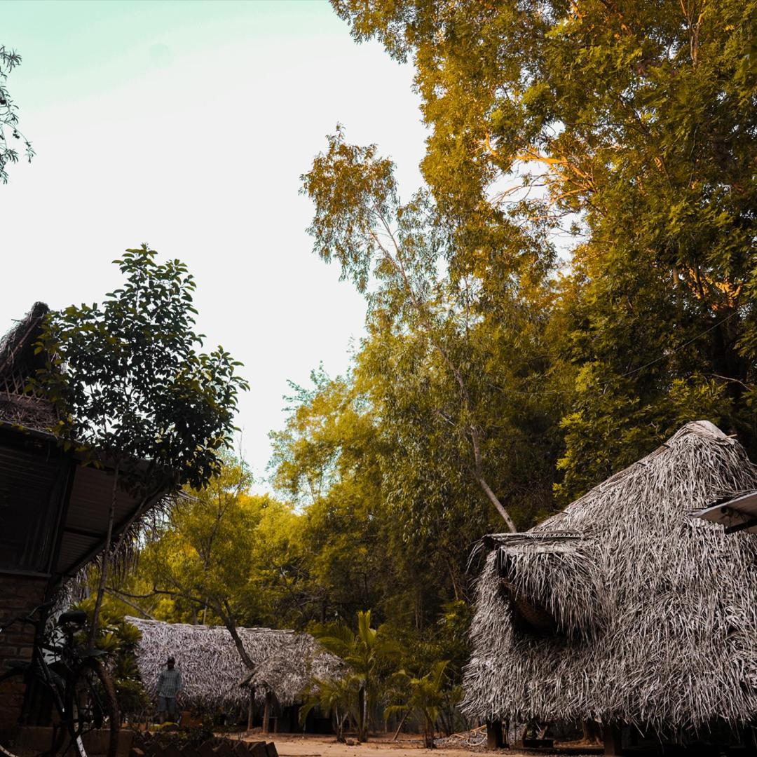 Nebula Nest Cafe & Hostel Auroville Esterno foto