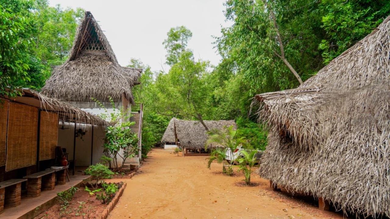 Nebula Nest Cafe & Hostel Auroville Esterno foto